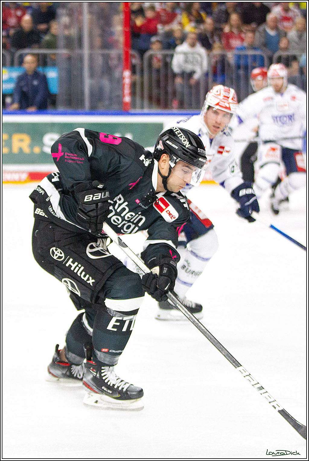 PENNY DEL;  Koelner Haie - Schwenninger Wild Wings; Koeln, 08.10.2021